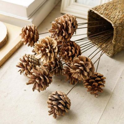 Bất ngờ công dụng của quả thông khô trong trang trí nhà cửa
