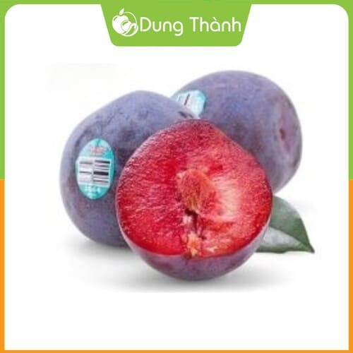 Mận Khủng Long Đỏ Mỹ