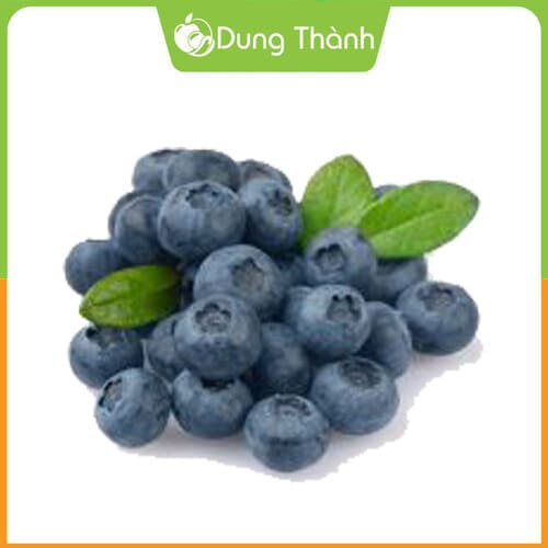 Việt Quất Mỹ